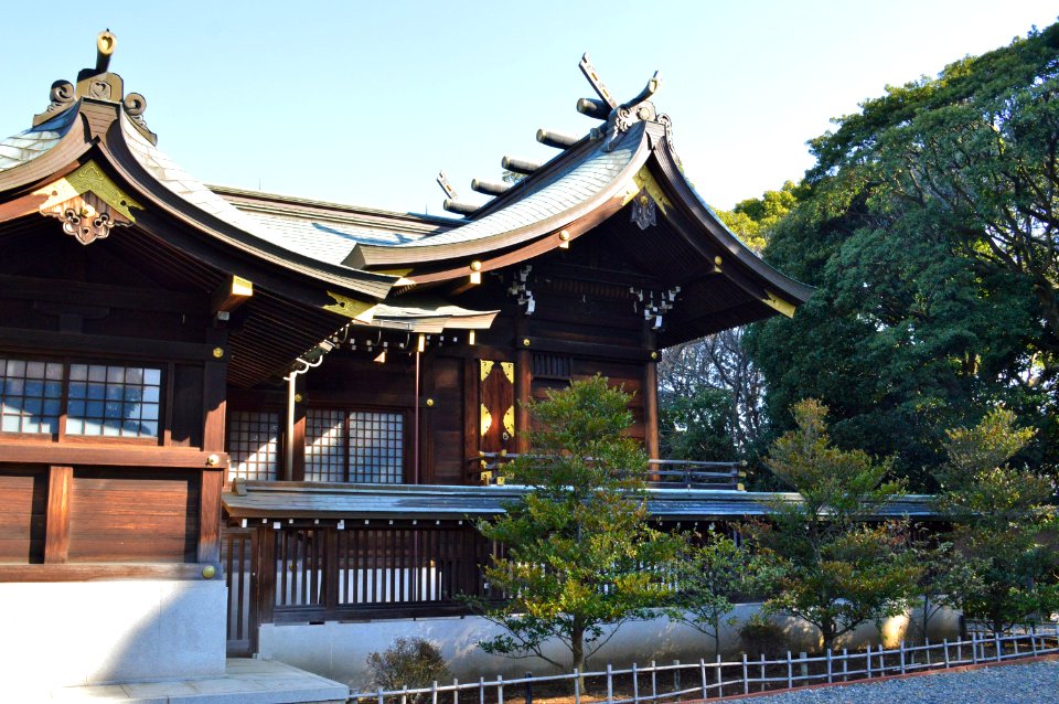 Anesaki-jinja, honden
