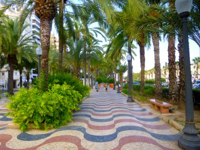Alicante - Paseo de la Explanada de España 01
