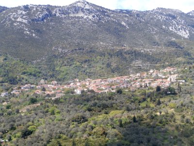 Andronianoi