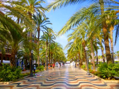 Alicante - Paseo de la Explanada de España 17