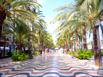 Alicante - Paseo de la Explanada de España 08