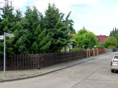 Angersbacher Pfad (Berlin-Wittenau)