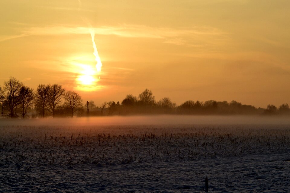 Winter magic nature cold