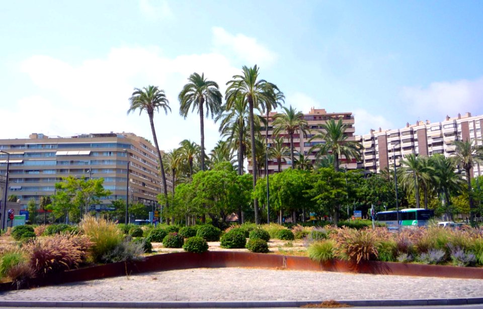 Alicante - Plaza Arquitecto Miguel López