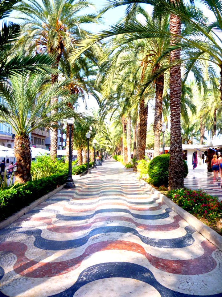 Alicante - Paseo de la Explanada de España 04