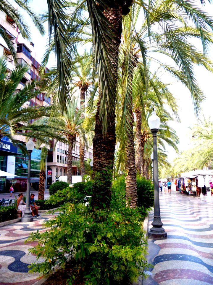 Alicante - Paseo de la Explanada de España 06