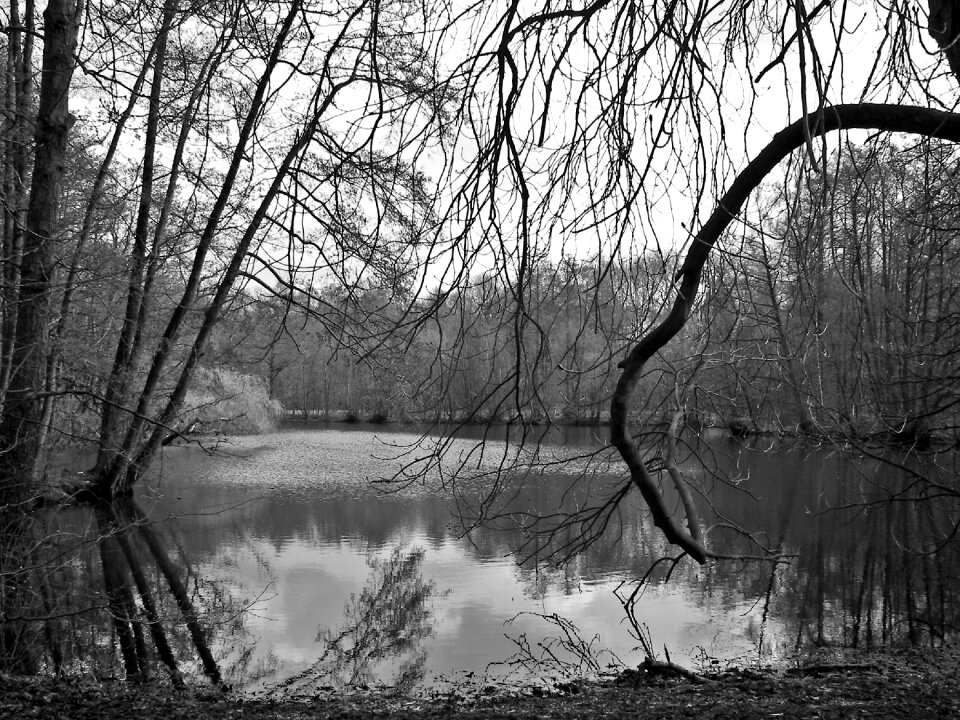Melancholic depression ghostly