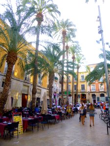 Alicante - Plaza de la Santísima Faz 8