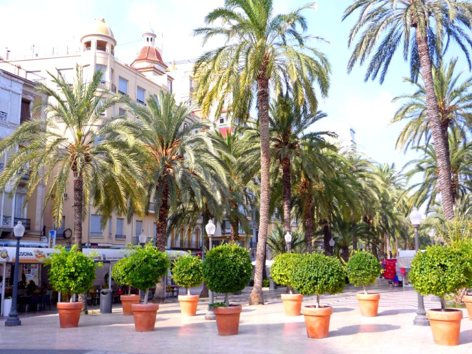 Alicante - Paseo de la Explanada de España 02