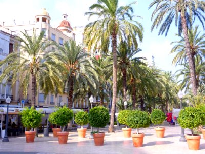 Alicante - Paseo de la Explanada de España 02
