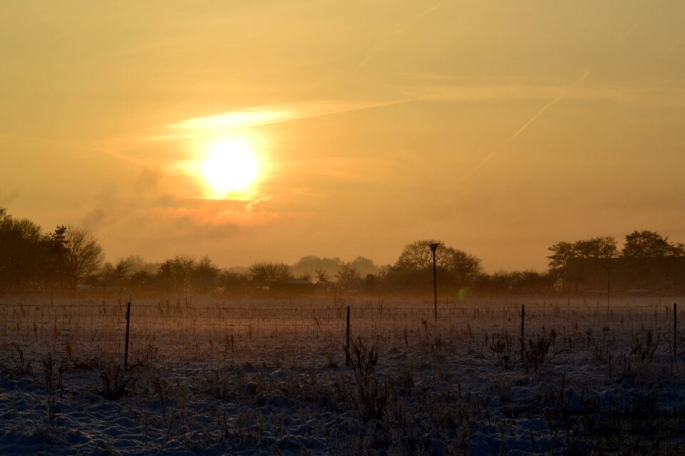 Winter magic nature cold