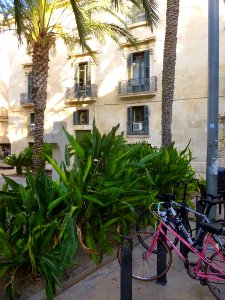 Alicante - Plaza de la Santísima Faz 7