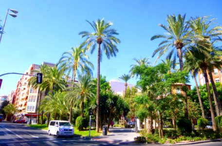 Alicante - Plaza de España 5