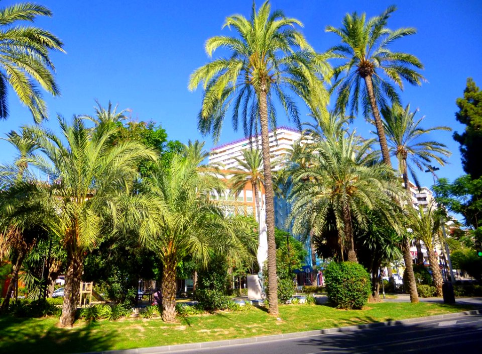 Alicante - Plaza de España 7