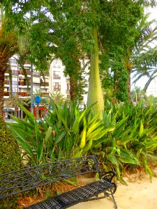 Alicante - Plaza de los Luceros (Plaça dels Estels) 08