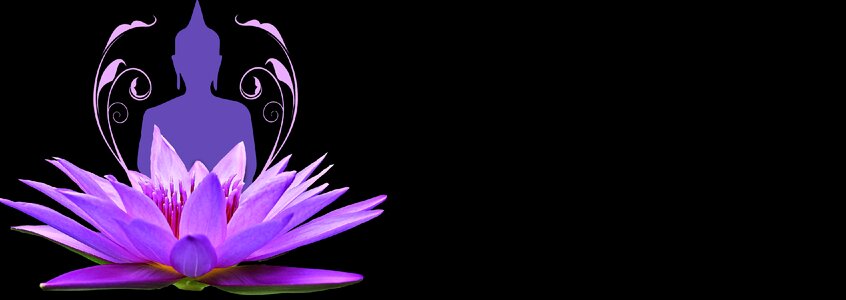 Wellness meditation nature