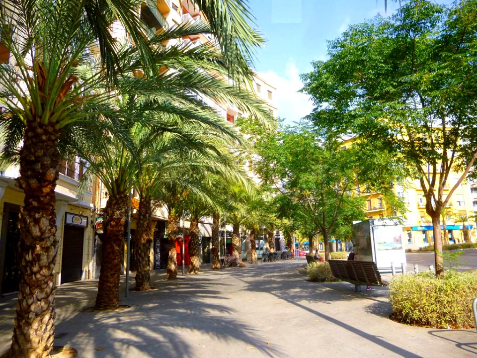 Alicante - Plaza de los Luceros 15