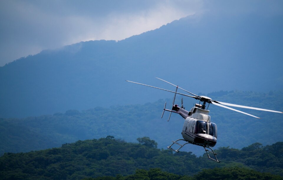 Jungle sky transport