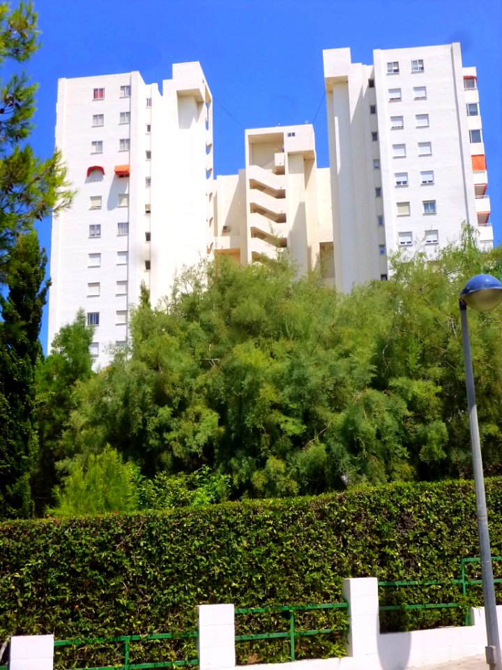 Alicante - Edificio Poseidón 08