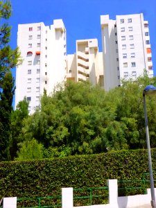 Alicante - Edificio Poseidón 08