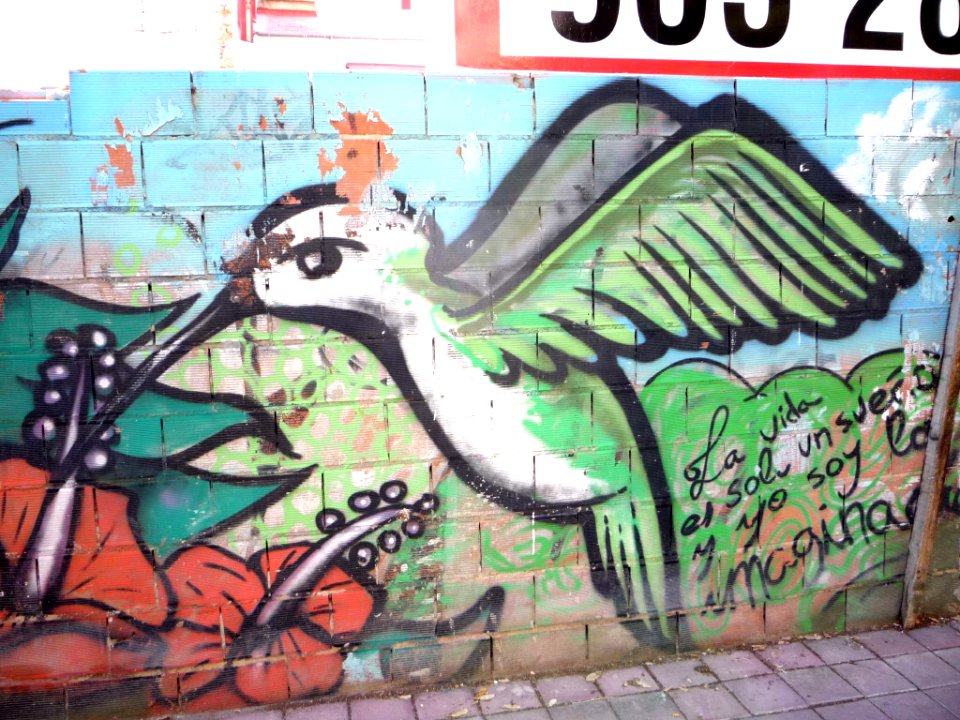 Alicante - Graffiti urbano 01