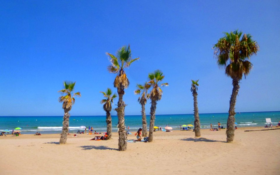 Alicante - Playa de San Juan 06