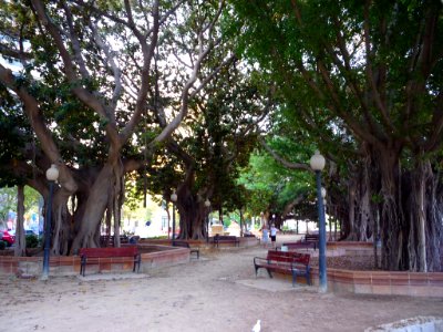 Alicante - Parque de Canalejas 1