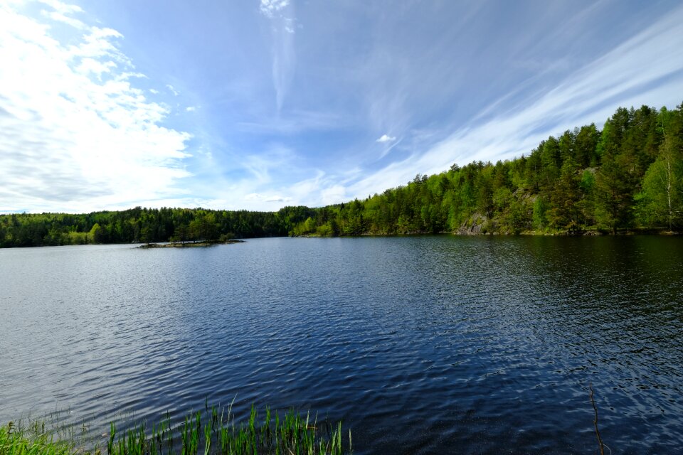 Water lake green