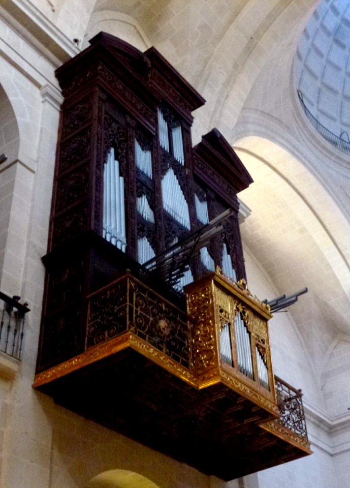 Alicante - Concatedral de San Nicolàs de Bari 19