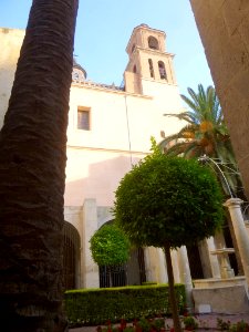 Alicante - Concatedral de San Nicolàs de Bari, claustro 09