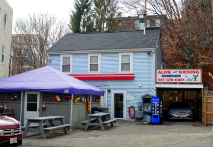 Alive & Kicking Lobsters - Cambridge, MA - DSC04791