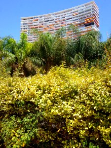 Alicante - Edificio La Chicharra 4