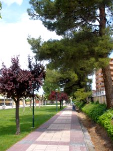 Alfaro - Paseo de la Florida3