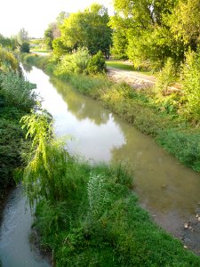 Alfaro - Río Alhama 7