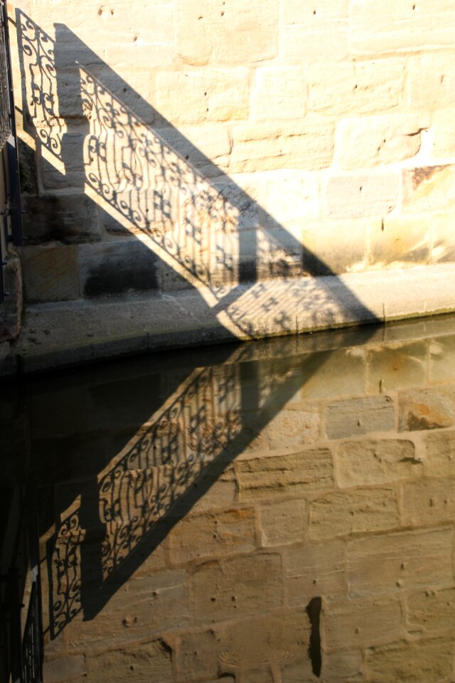 Dinosaur mirroring bridge