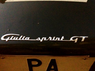 Alfa Romeo Giulia Sprint GT logo