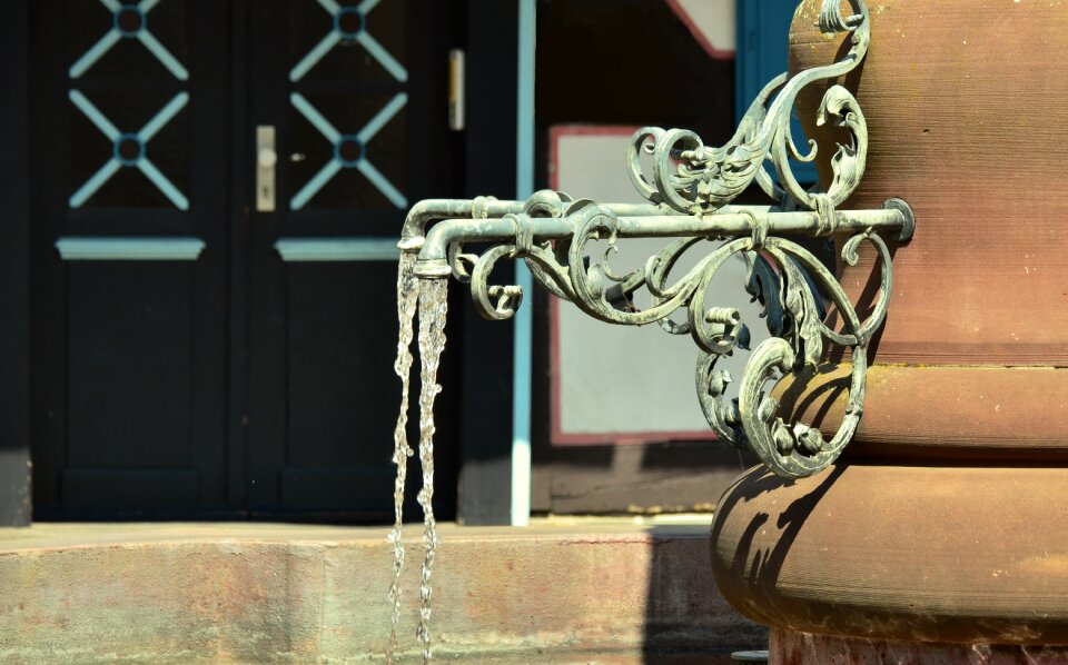 Iron wrought iron ornament