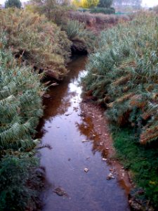 Alfaro - Rio Alhama 3