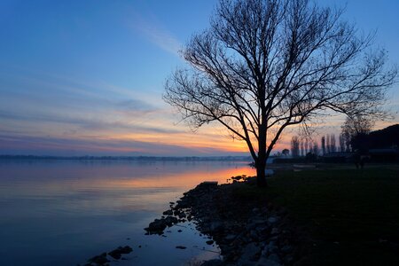 Umbria tree sunset photo