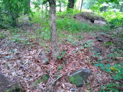 Alexander Hogan Plantation 3