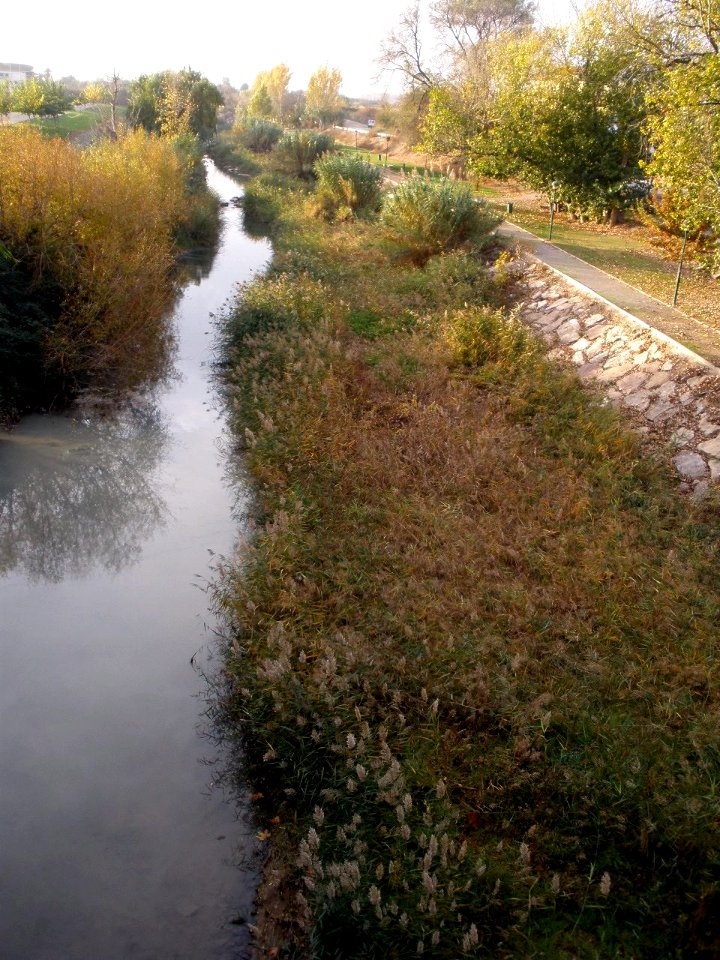 Alfaro - Rio Alhama 4