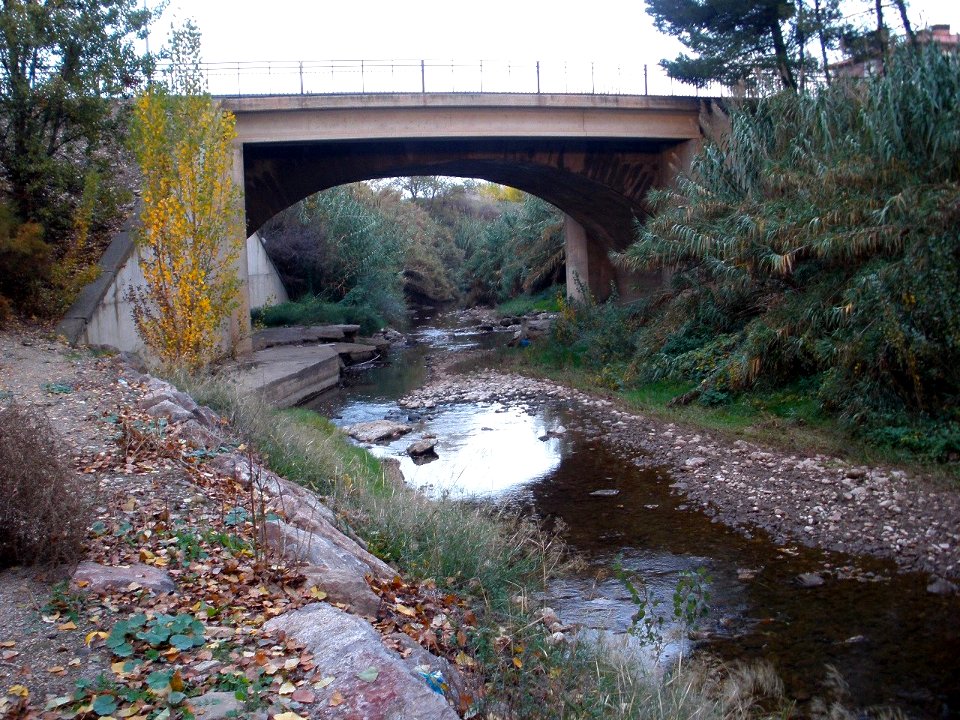Alfaro - Rio Alhama 1