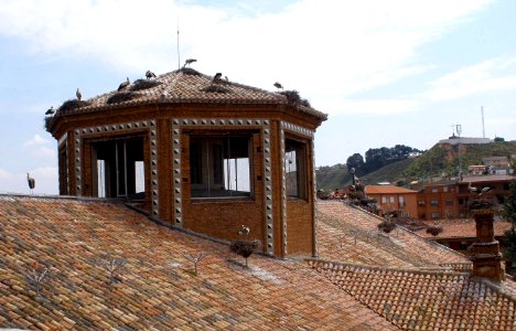 Alfaro - Colegiata, cigüeñas 08