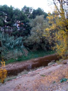Alfaro - Rio Alhama 2