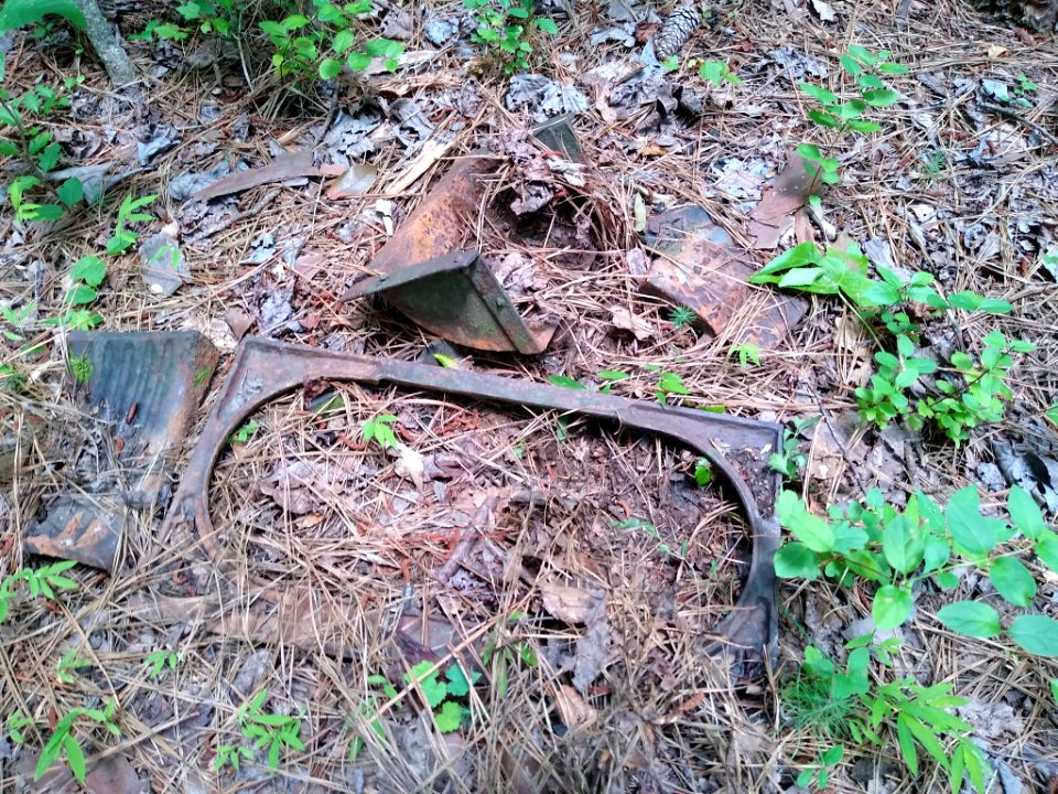 Alexander Hogan Plantation 6