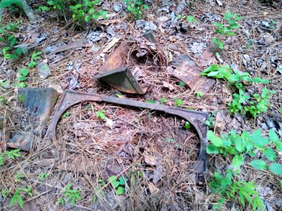 Alexander Hogan Plantation 6