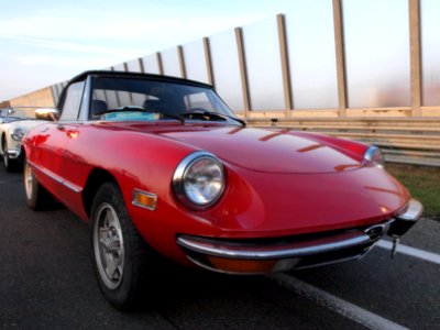 Alfa Romeo Spider Coda Tronca