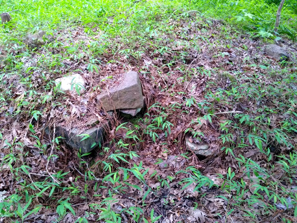 Alexander Hogan Plantation 4