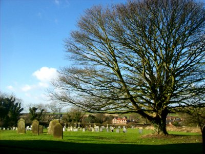 All Saints, Rudston- the churchyard