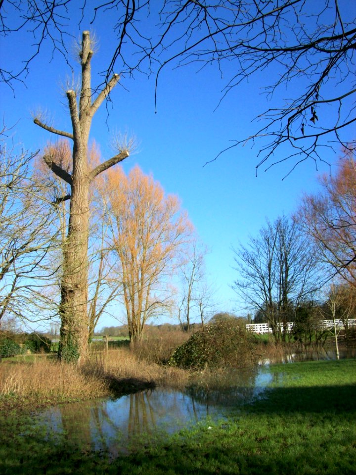 Alfriston, village green